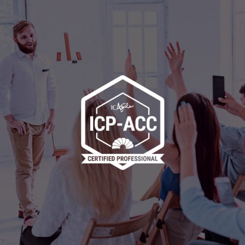 ICP-ACC Standard Package