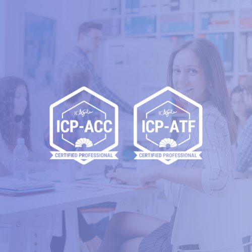 Coaching and Facilitation Bootcamp – 5 Day Basic Package