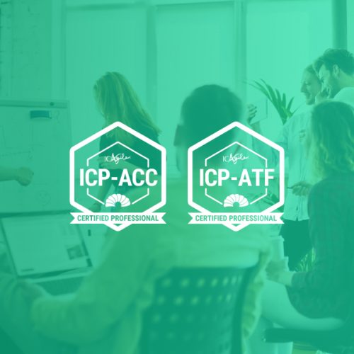 Coaching and Facilitation Bootcamp – Standard Package